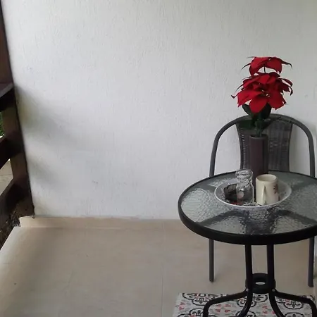 Casa Teea Apartment Predeal