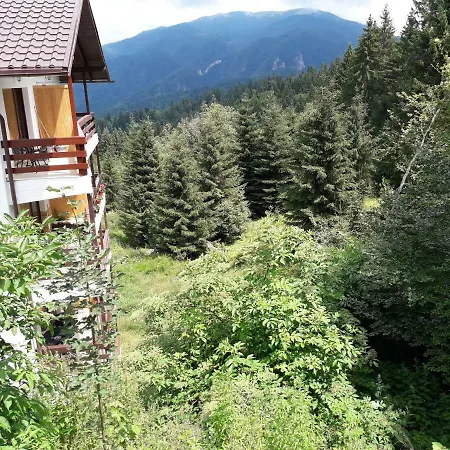 Casa Teea Apartment